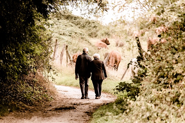 Bild av äldre par på promenad i naturen.