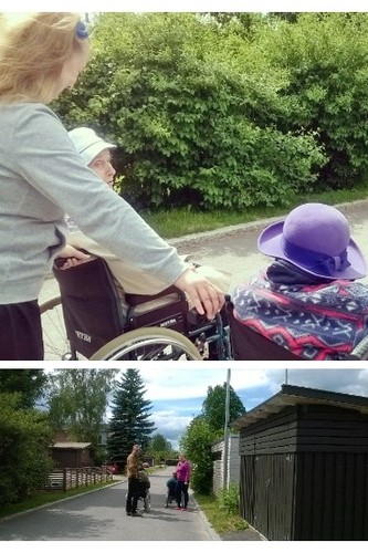 Folkhälsans promenad med åldringar