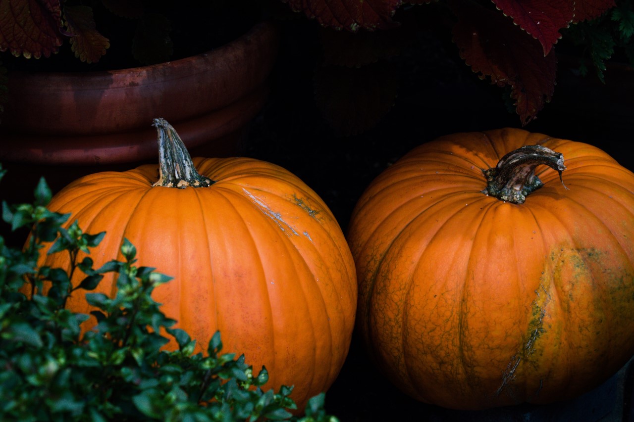 pumpor.jpg
